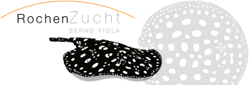 Rochen-Zucht